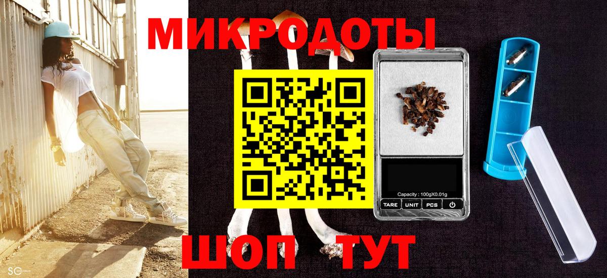 Галлюциногенные грибы Psilocybe Железноводск