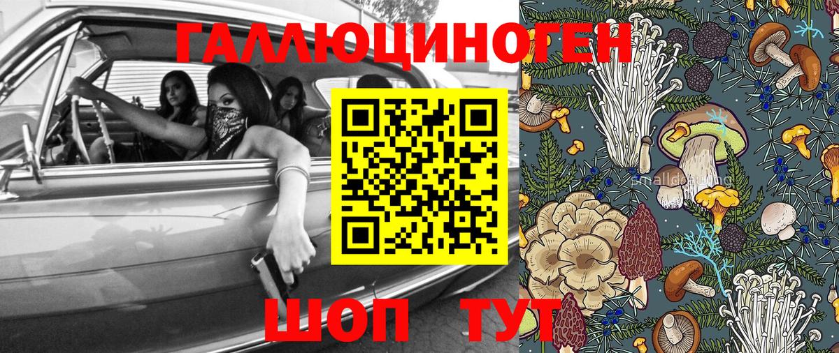 Псилоцибиновые грибы прущие грибы  Вход с VPN  Железноводск 